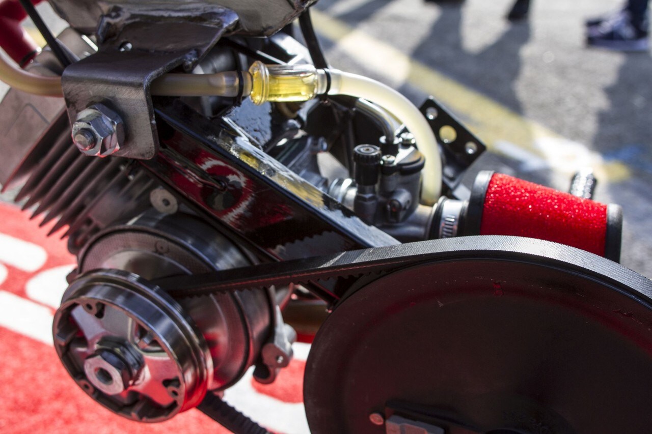 Wildays: un raduno, mille storie