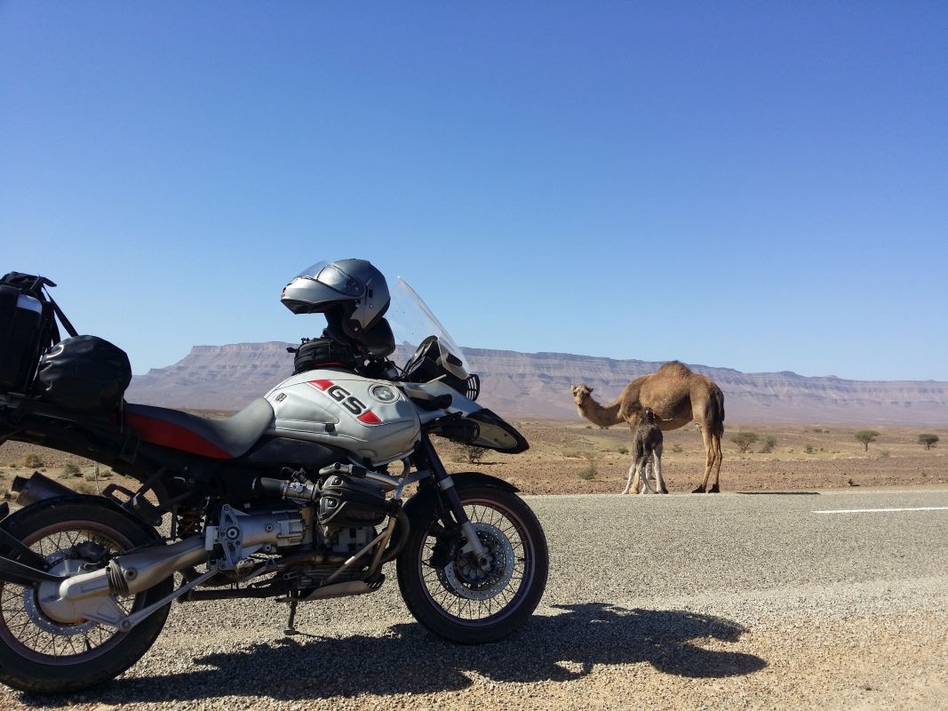 Le moto dei lettori: quasi 280mila km con una BMW R 1150 GS