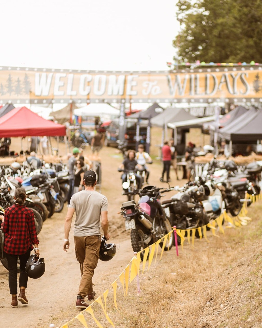 Wildays 2021: un successo! 