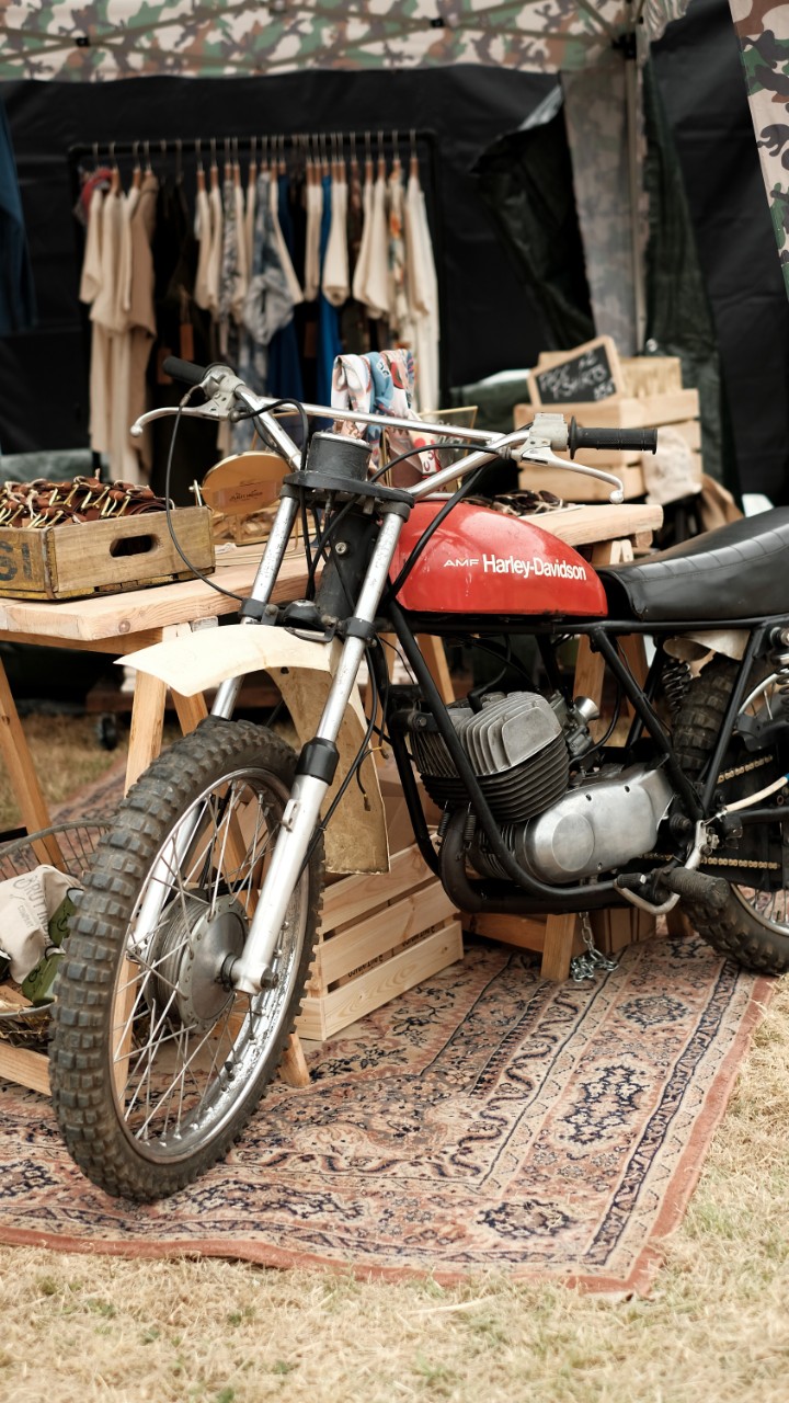 Wildays 2021: un successo! 