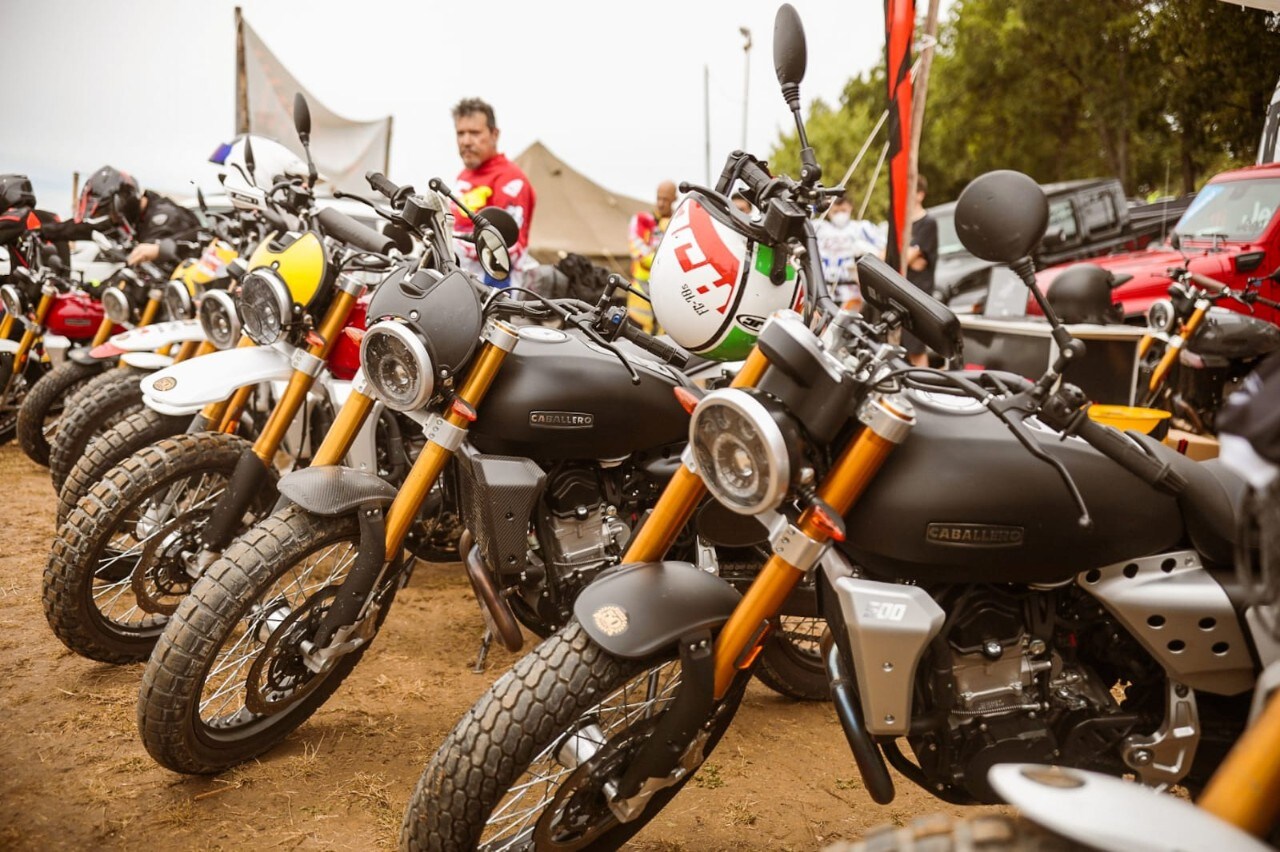 Wildays 2021: un successo! 