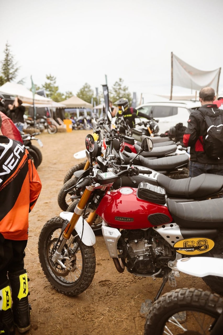 Wildays 2021: un successo! 