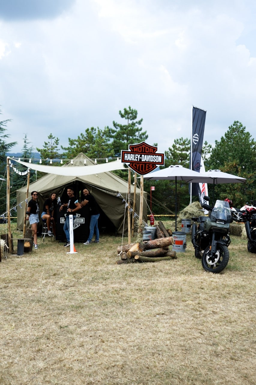 Wildays 2021: un successo! 