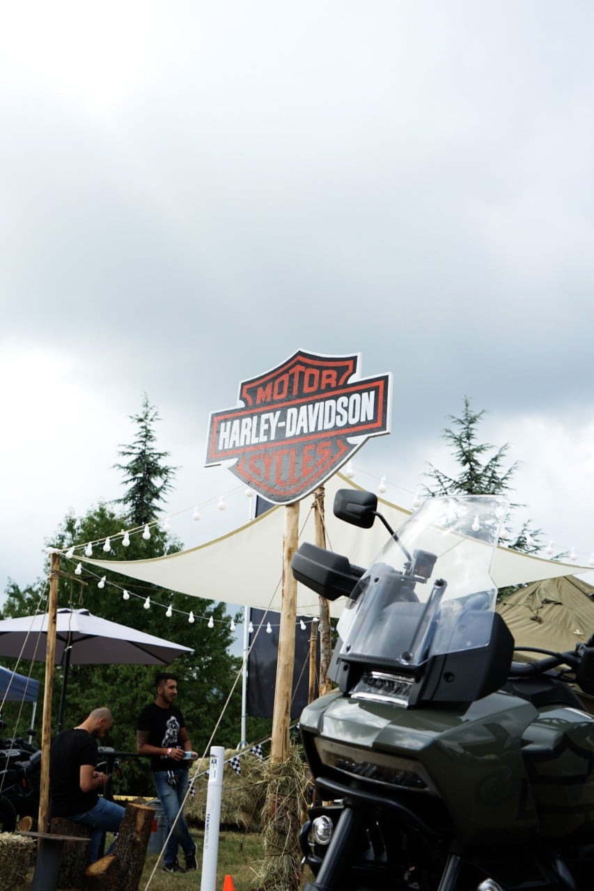 Wildays 2021: un successo! 