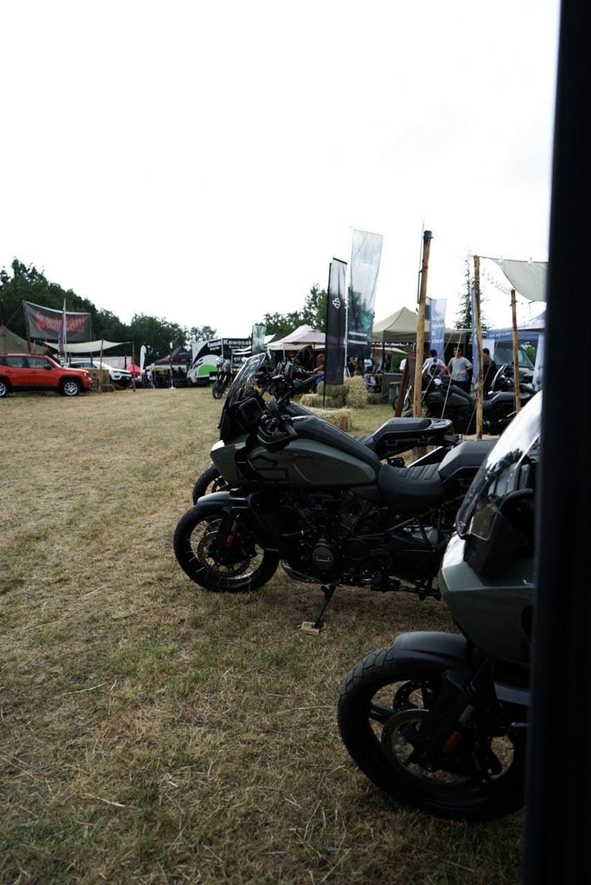 Wildays 2021: un successo! 