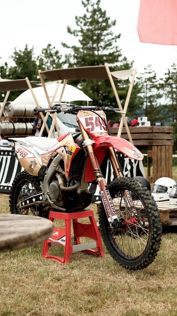 Wildays 2021: un successo! 