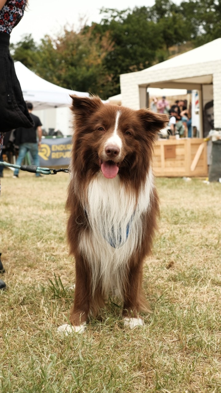 Wildays 2021: un successo! 