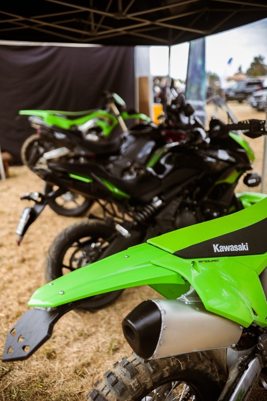 Wildays 2021: un successo! 