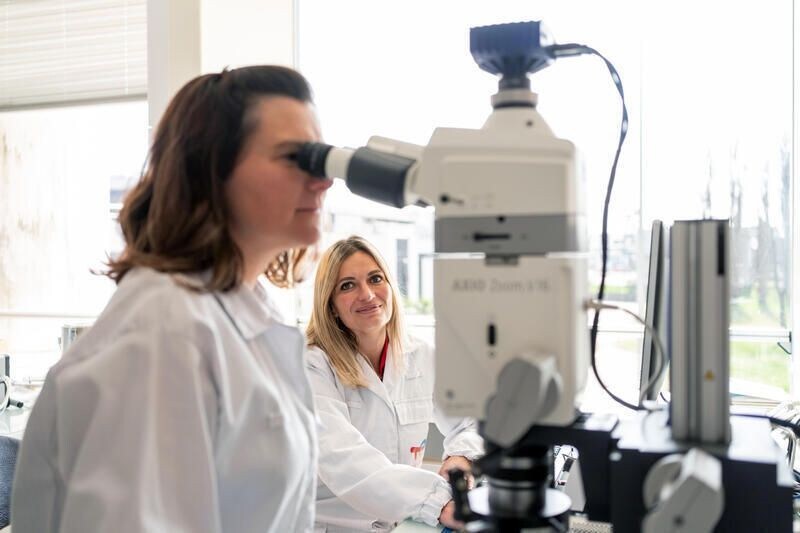 ELF: cosa significa usare un olio con “riserva di prestazione”