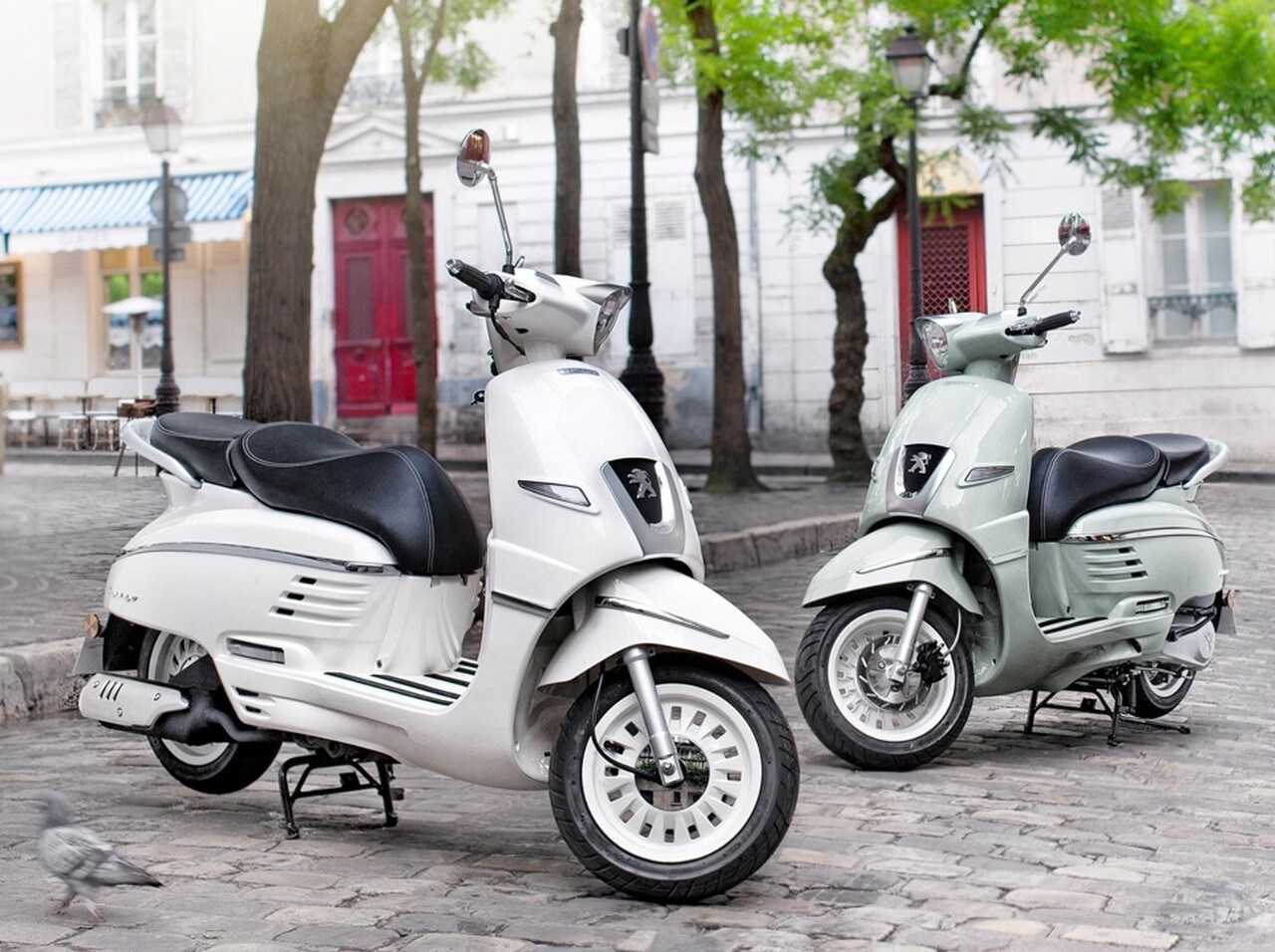 Nei Veicoli A Motore A Due Ruote
