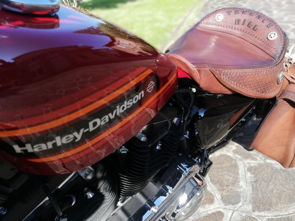 Una Harley Davidson per Terence HILL