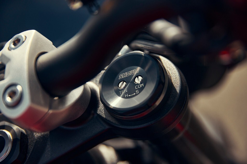 <div class='descrGalleryText'><p>Triumph Street Triple RS 2023&nbsp;</p>
</div>