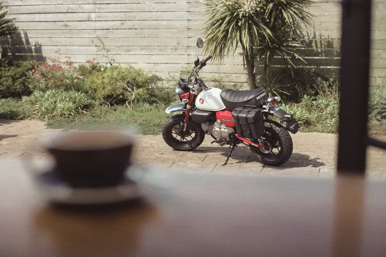 Honda Monkey 125: tutte le novità del modello 2025