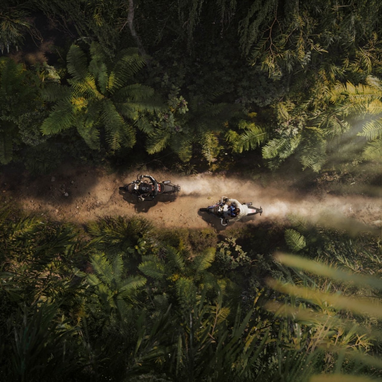 BMW Motorrad presenta la BMW F 450 GS