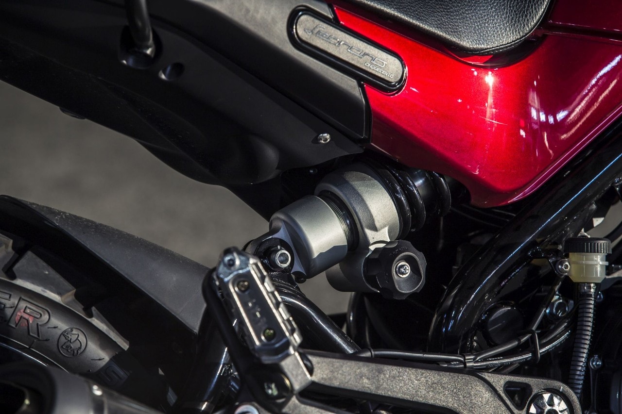 Benelli Leoncino Trail: una notte da leoni