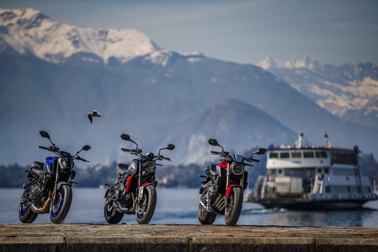 Naked medie: l'era della BIODIVERSITÀ