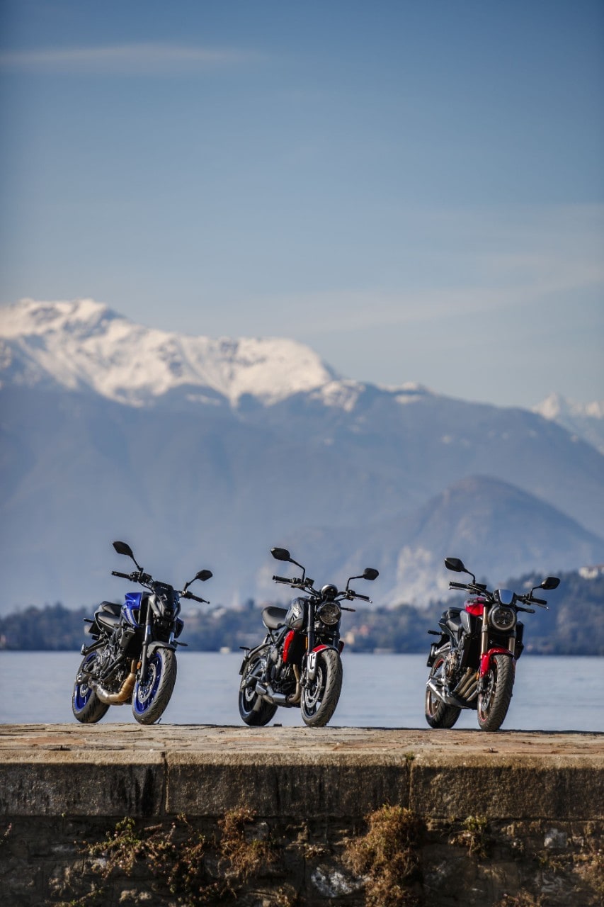 Naked medie: l'era della BIODIVERSITÀ