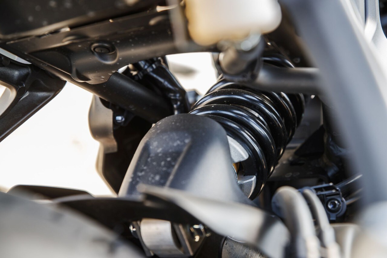 Naked medie: l'era della BIODIVERSITÀ