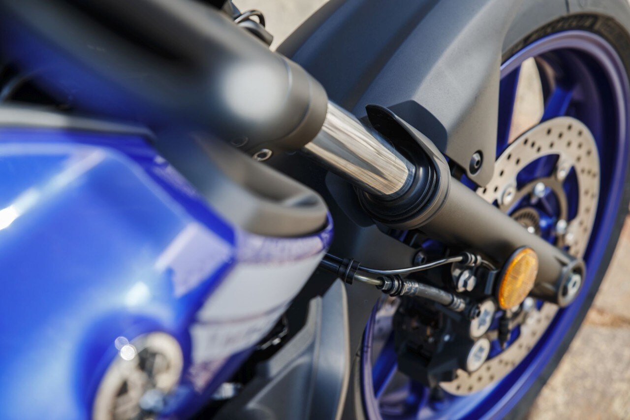 Naked medie: l'era della BIODIVERSITÀ