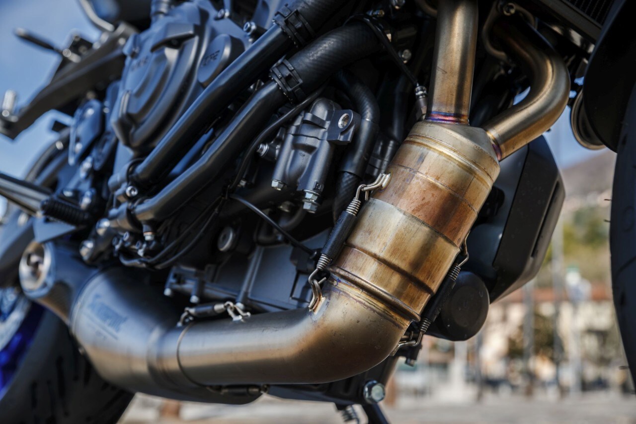 Naked medie: l'era della BIODIVERSITÀ