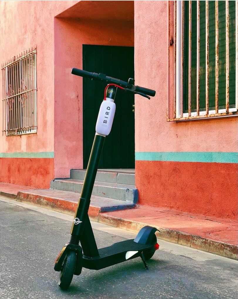 Bird conquista le strade di Jesi