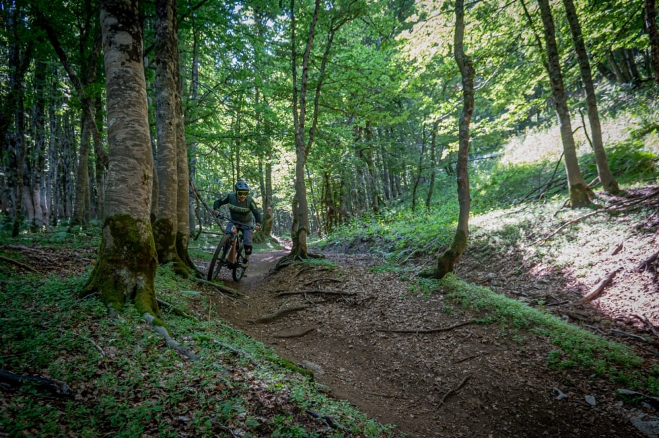 Haibike AllMtn CF 11 TRN/IQ: full carbon, 160 mm di escursione e cambio Pinion integrato