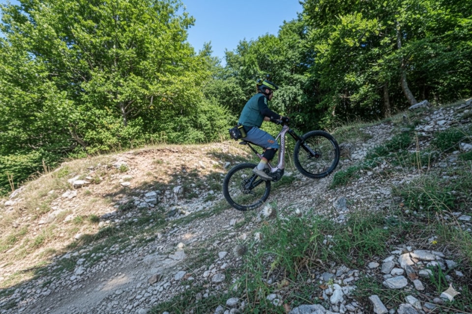 Haibike AllMtn CF 11 TRN/IQ: full carbon, 160 mm di escursione e cambio Pinion integrato