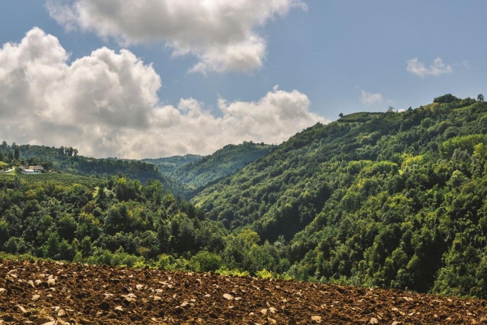 Piemonte: un itinerario in moto Ormea e Alba