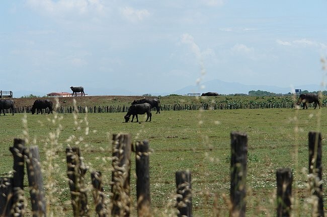 Campania: tra mare e resti storici