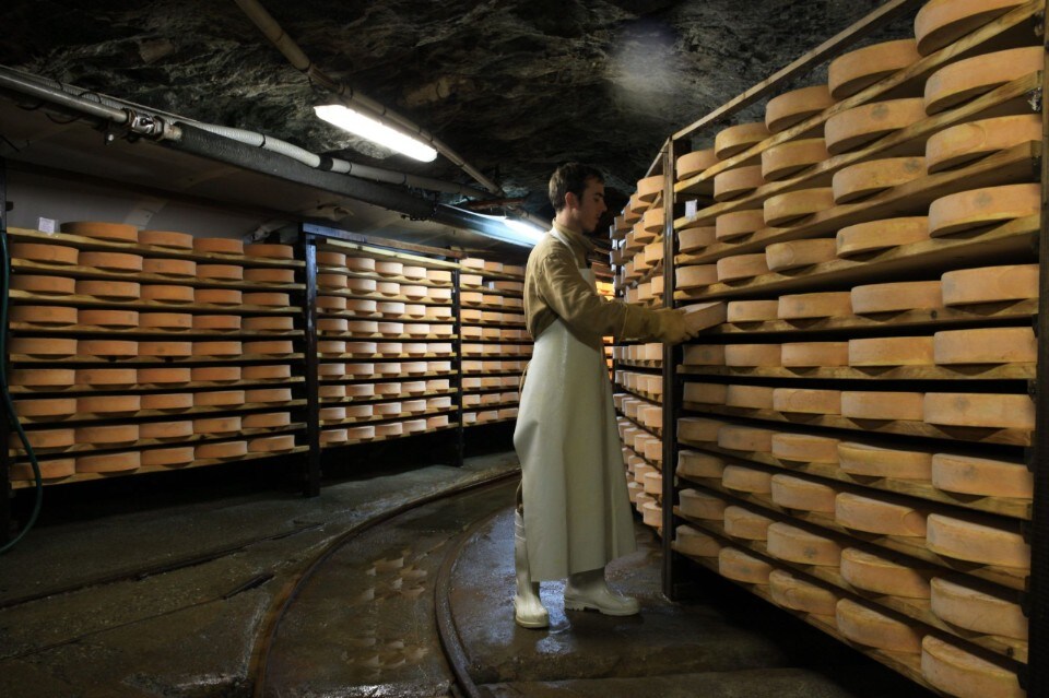 Valle D'Aosta: in viaggio fra Valpelline e Gran San Bernardo