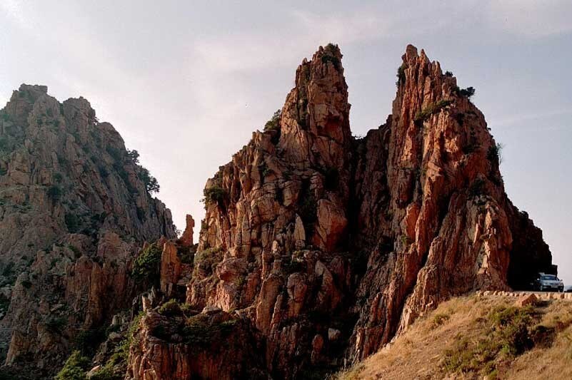Cinque amici in Corsica