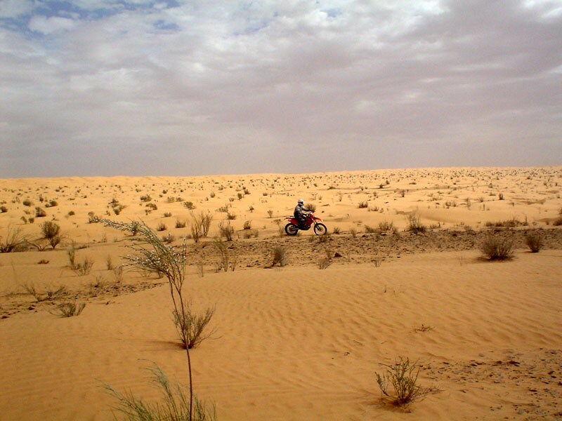 Ho guidato nel deserto con Meoni