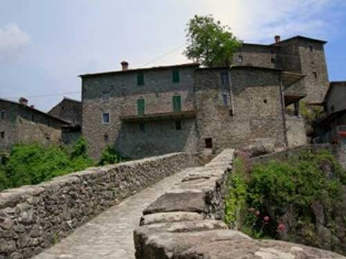 Garfagnana: la grande selva