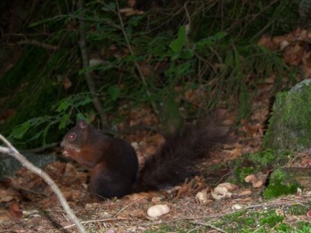 Quattro stati per un mototour