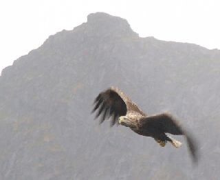 Capo Nord e le Repubbliche Baltiche