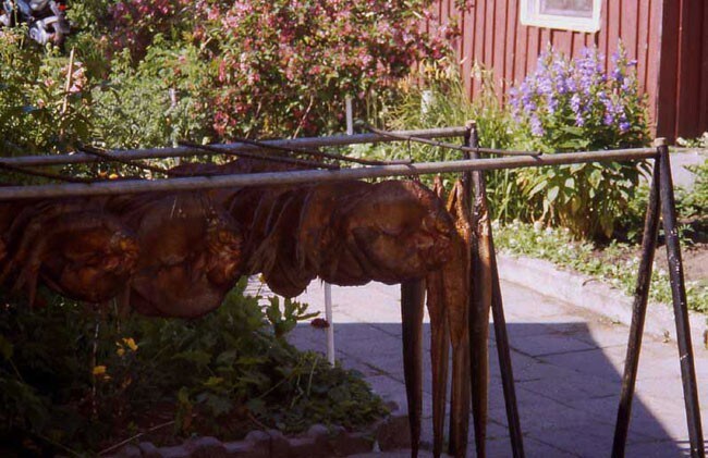 Repubbliche Baltiche 'on the road'