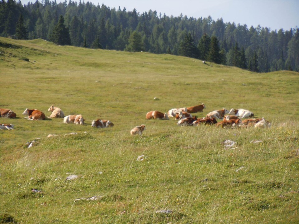 La Carinzia, gli alti Tauri e la Slovenia del Nord