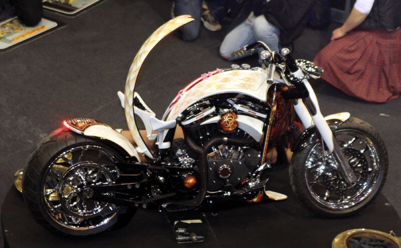 Padova: le special più belle