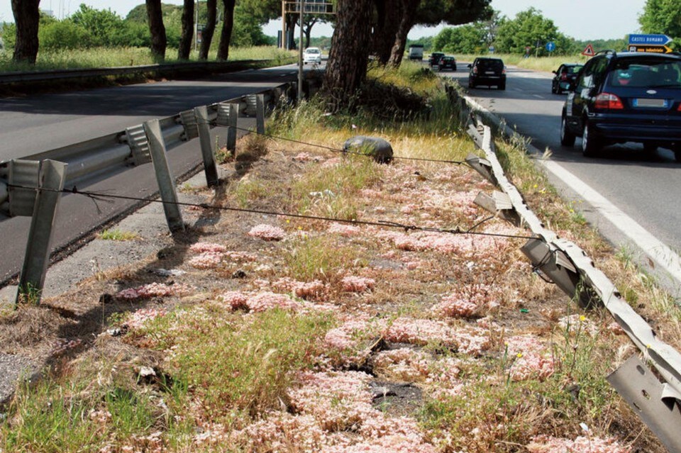 La parabola della via Pontina