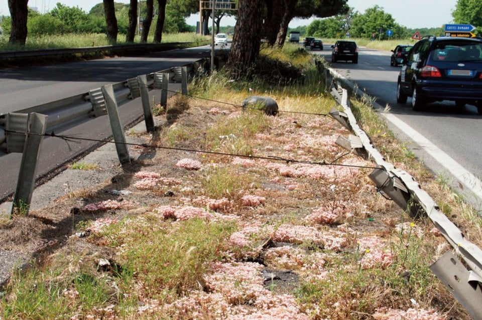La parabola della via Pontina