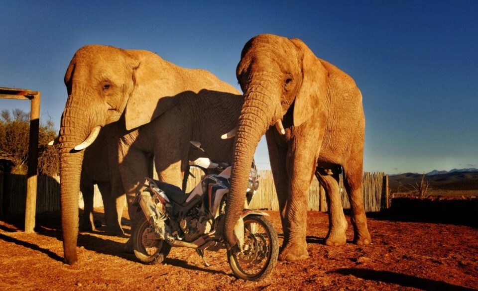 Torna Honda Adventure Roads: nel 2019 in Sudafrica!