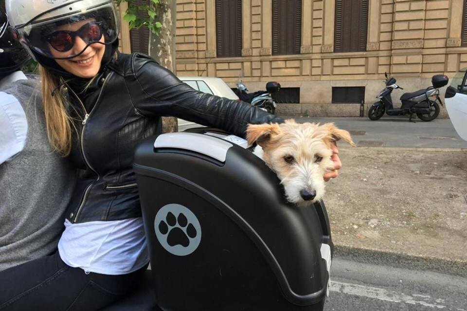 Pow, in moto con gli amici a quattro zampe