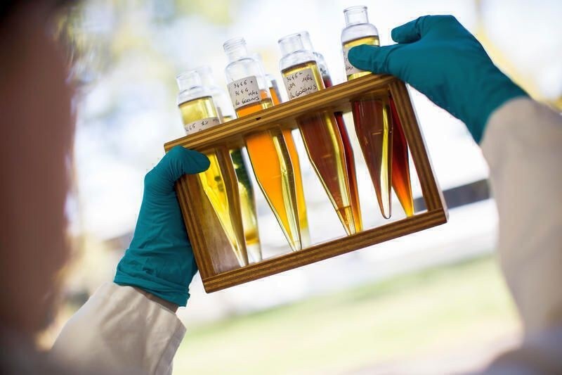 ELF: cosa significa usare un olio con “riserva di prestazione”