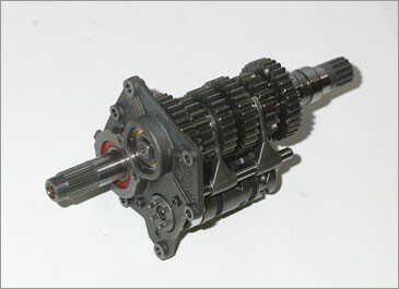 Test anteprima: MZ 1000S