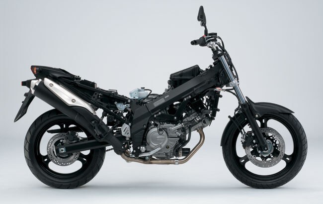 Suzuki V-Strom 650: felice di piacere