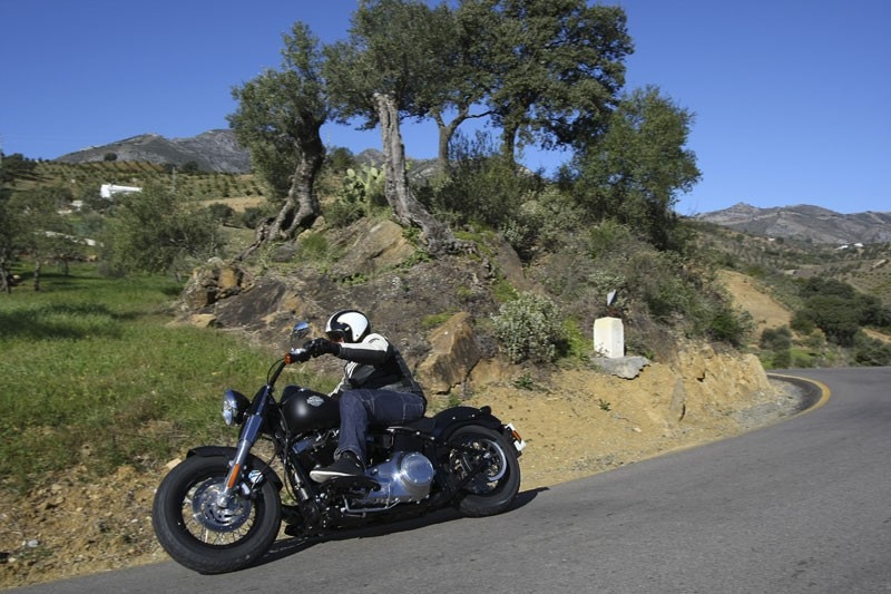 Harley-Davidson Softail Slim