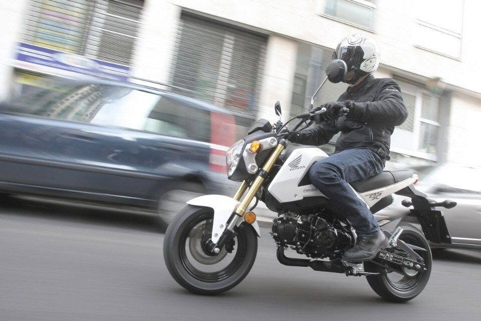 Honda MSX125, piccola grande moto