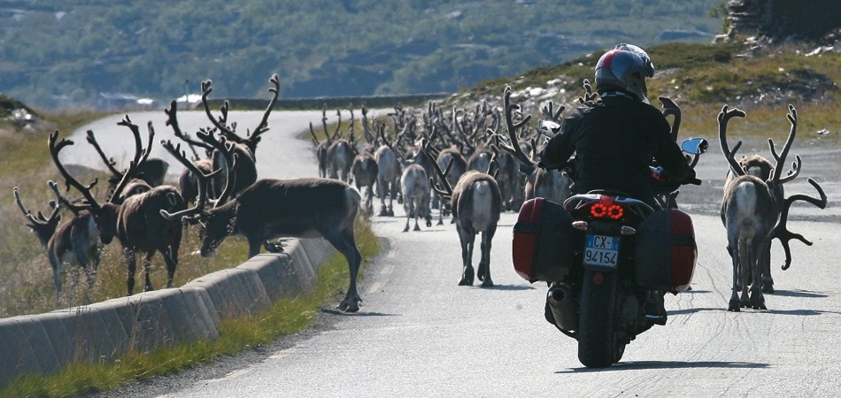 Moto Guzzi Norge 1200 GT