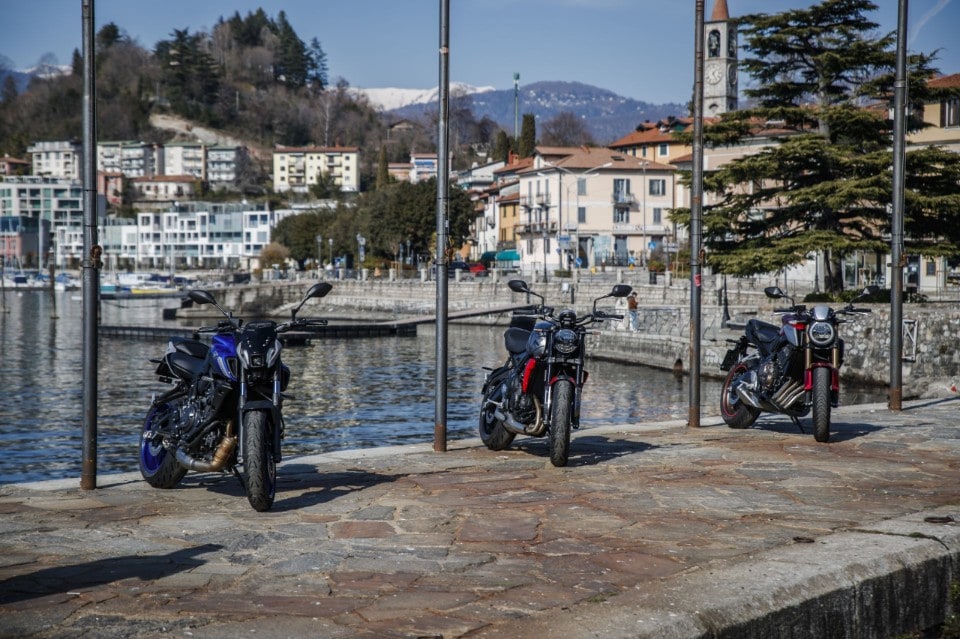 Naked medie: l'era della BIODIVERSITÀ