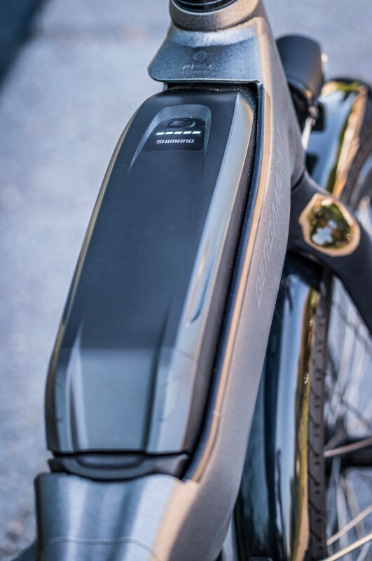 Bergamont Paul-E EQ Edition: la folding premium!